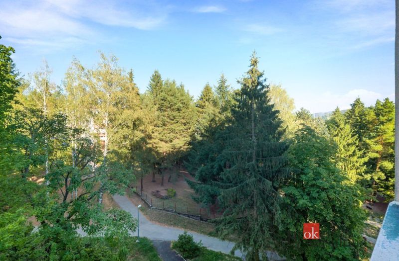 A view from Zvolen on A. Hlinka Street from a 2-room apartment, where there is a park with a walkway.