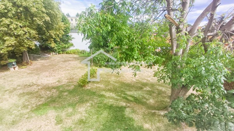 The garden of a family house in Rožňava with a lawn and various trees.