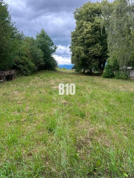 A grassy plot surrounded by trees in Dubové, ideal for cottage purposes.