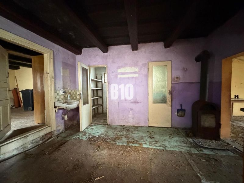 Purple walls, stove, and sink in the interior of a family house.