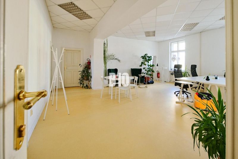 Spacious offices with plants, white desks, and comfortable chairs.