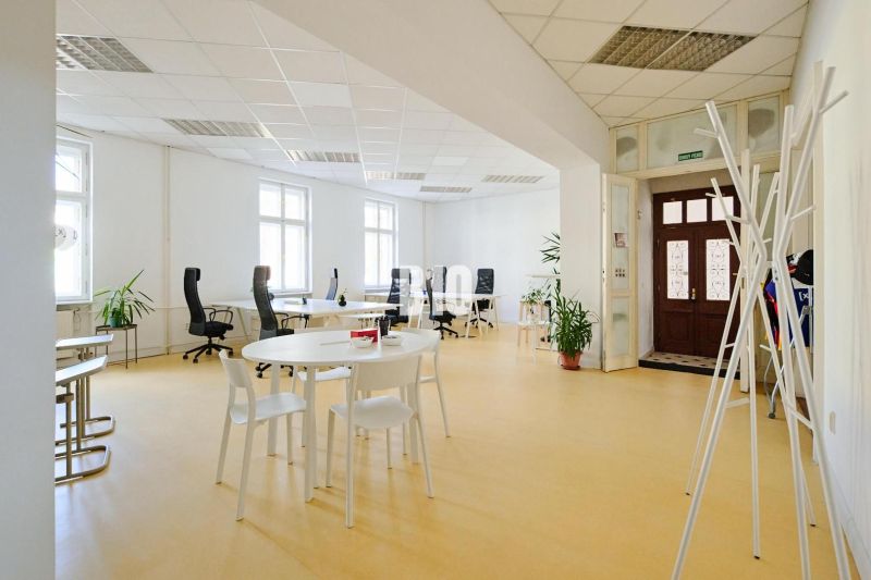 Spacious offices with white desks, chairs, and plants, floor with wooden decor.