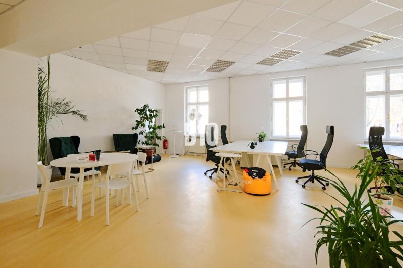 Offices with white desks, ergonomic chairs, and plants, floor with wooden decor.