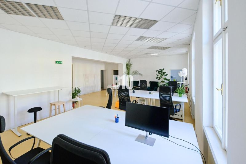 Spacious offices with white desks and plants, large windows letting in daylight.