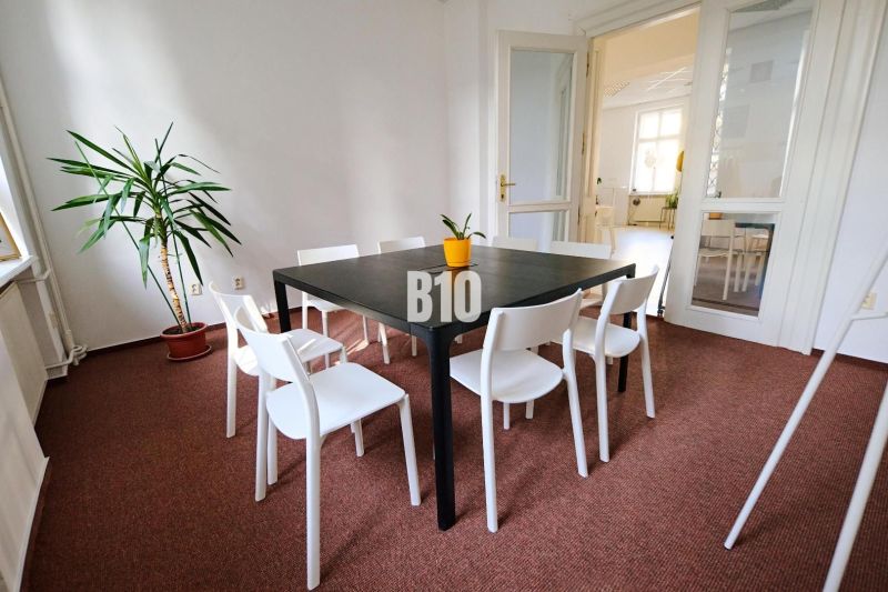 An office with a black desk, white chairs, and a plant on the carpet.