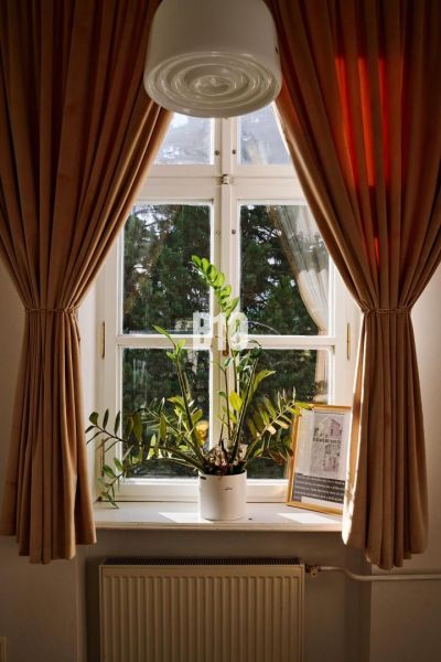 A windowsill with a potted plant, surrounded by curtains and a radiator.
