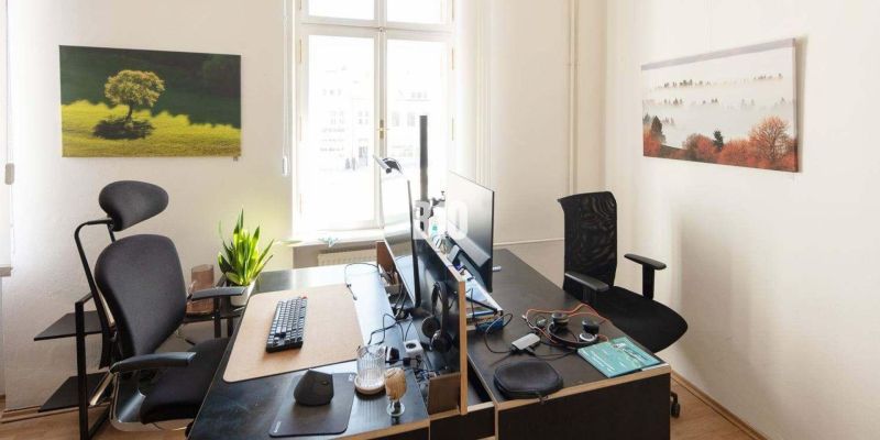 Offices with two computer workstations, a plant, and paintings on the walls.