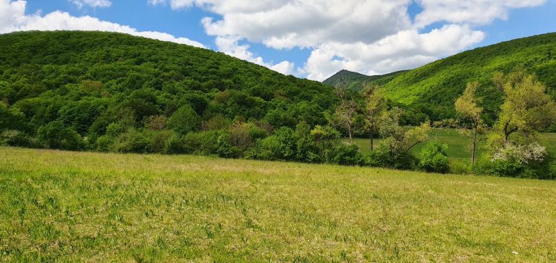 A meadow surrounded by forests in Nitrianske Sučany, suitable for building residential plots.