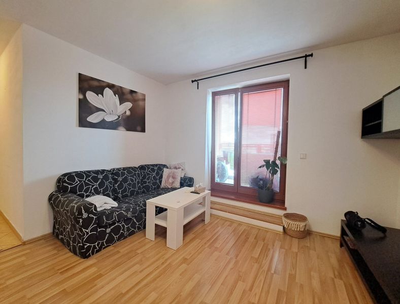 Living room in a two-room apartment with a sofa, a painting, and a wooden decor floor.