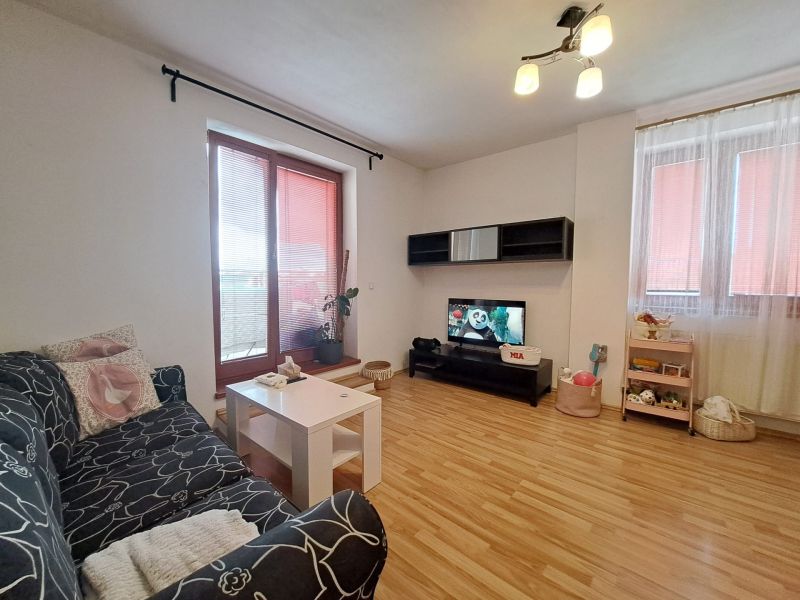 Living room with wood-patterned flooring, a sofa, and a television in a two-room apartment.