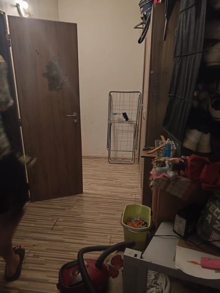 Hallway in a 3-room apartment with a wooden decor floor, storage space, and a vacuum cleaner.