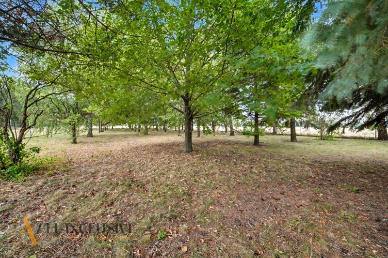 A garden with dense rows of trees in a family house in Lipový.
