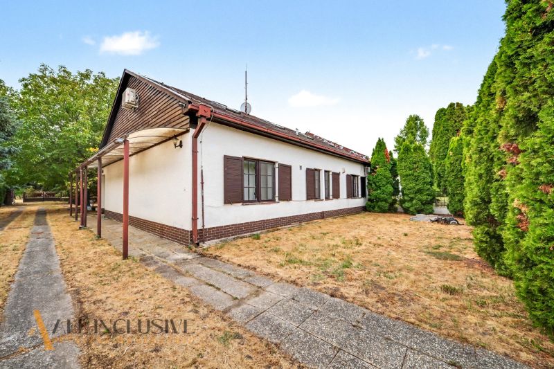 A family house in Lipové with a large garden and green thuja trees on the property.