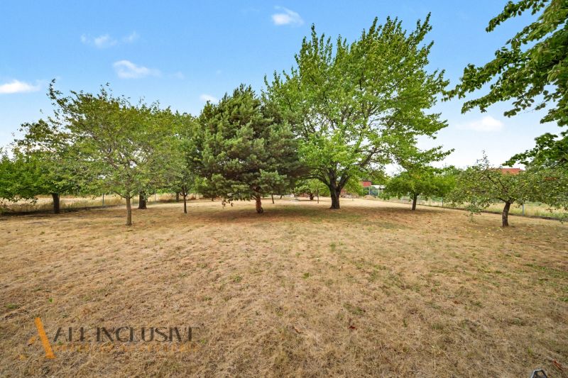 A garden with a lawn and trees by a family house in Lipov.