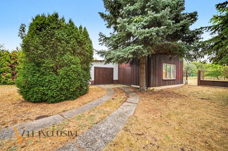 A family house in Lipové with a garden, an asphalt path, and coniferous trees on the grassy yard.