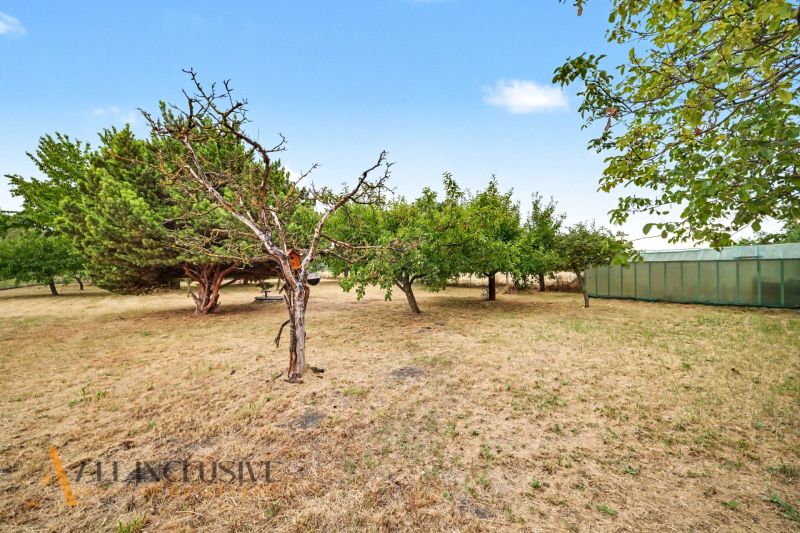 A garden at a family house in Lipové with fruit trees and a lawn.