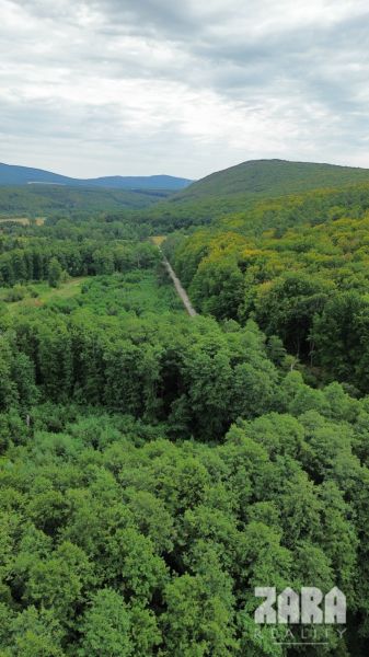 A wooded region in the Šugovská Valley near Medzev, with a road leading through a dense forest.