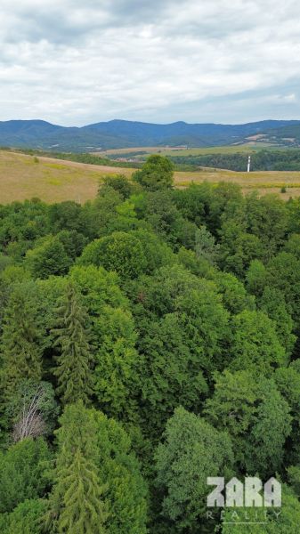Wooded hills in the Šugov Valley near Medzev, an ideal spot for cottages.