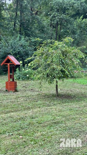 A well and a tree in the garden near the cottage in Šugovská Valley, Medzev, surrounded by forest.