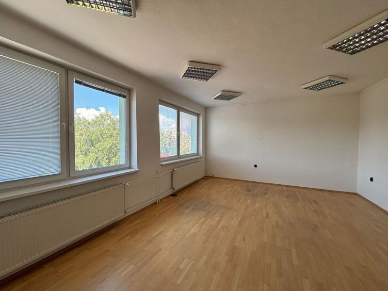 Spacious offices with wood-decor flooring and large windows.