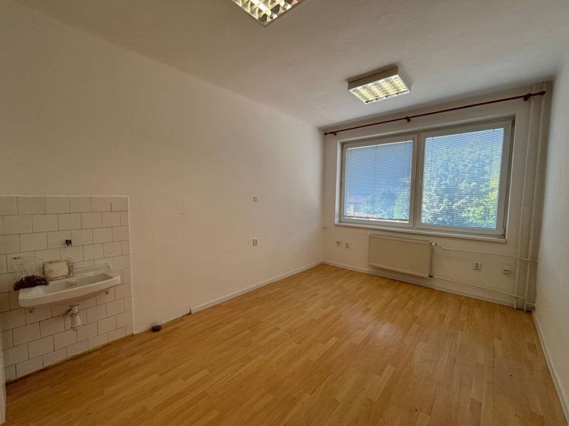Offices with wood-patterned flooring, a sink, and a large window.