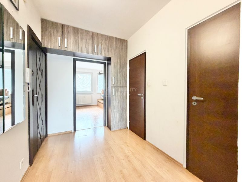 Interior of a 2-room apartment with a wooden decor floor and dark doors.