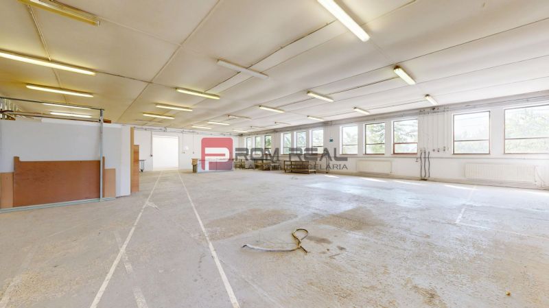 Spacious production facilities with lighting and large windows, suitable for various purposes.