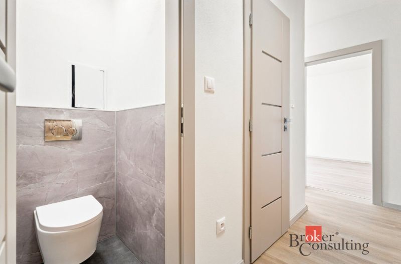 Bathroom and hallway in a 2-room apartment with a wooden decor floor.