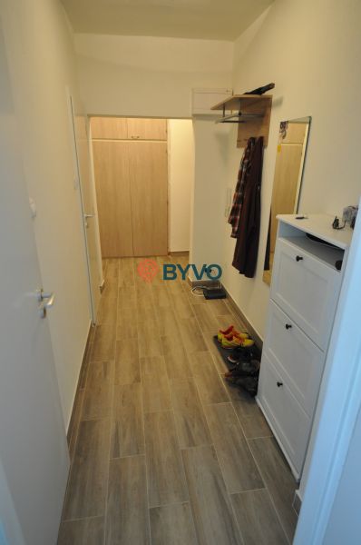 A narrow hallway in a 2-room apartment with a wooden decor floor and a wall-mounted coat rack.