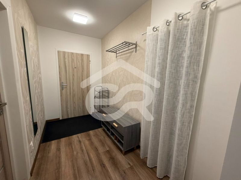 The interior of a hallway with a wood-patterned floor in a two-room apartment.
