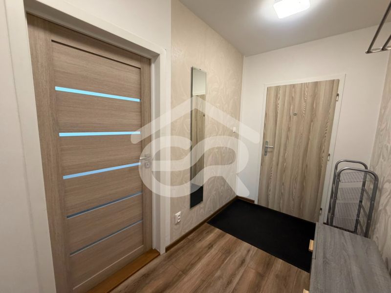 Entrance hallway with light doors and wood-patterned flooring in a 2-room apartment.