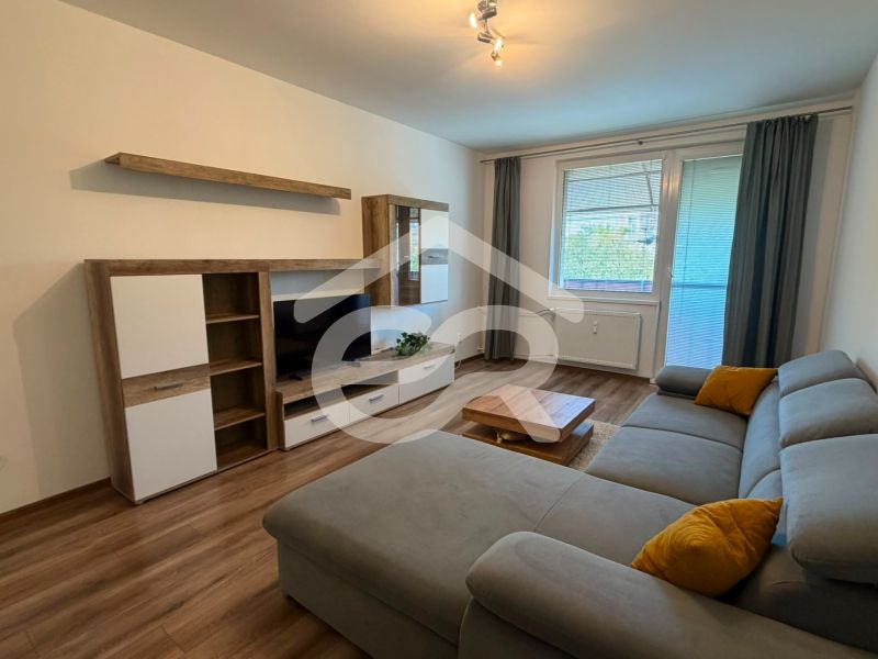 Living room in a two-room apartment with a comfortable sofa and a wooden decor floor.