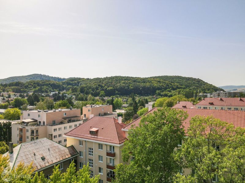 View of greenery and residential buildings in the Sad kpt. Nálepku area, Nová Dubnica.