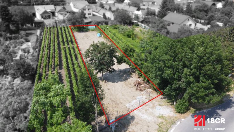 A plot on Holubyho Street in Pezinok, suitable for living, bordered by vineyards.