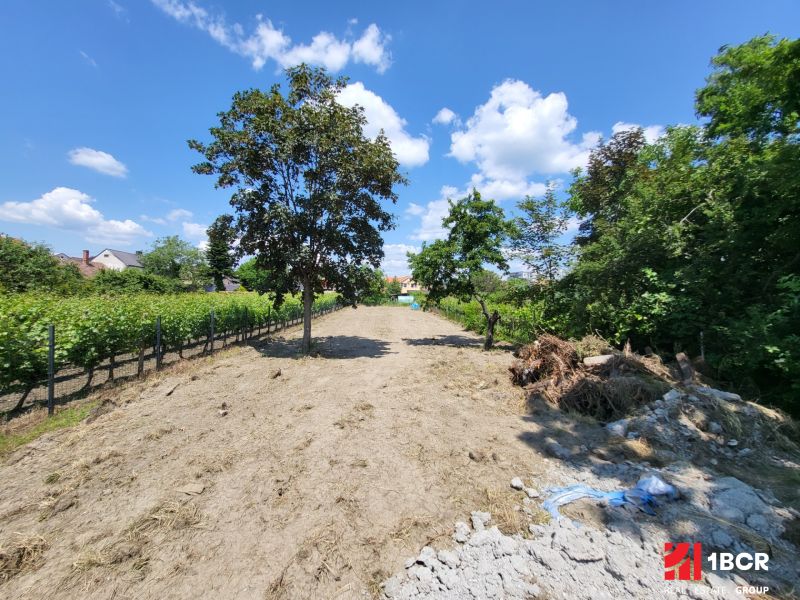 Plots - housing on Holubyho in Pezinok surrounded by vineyards and greenery.