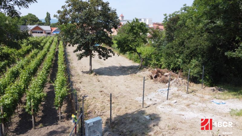A residential plot on Holubyho Street in Pezinok surrounded by vineyards and greenery.