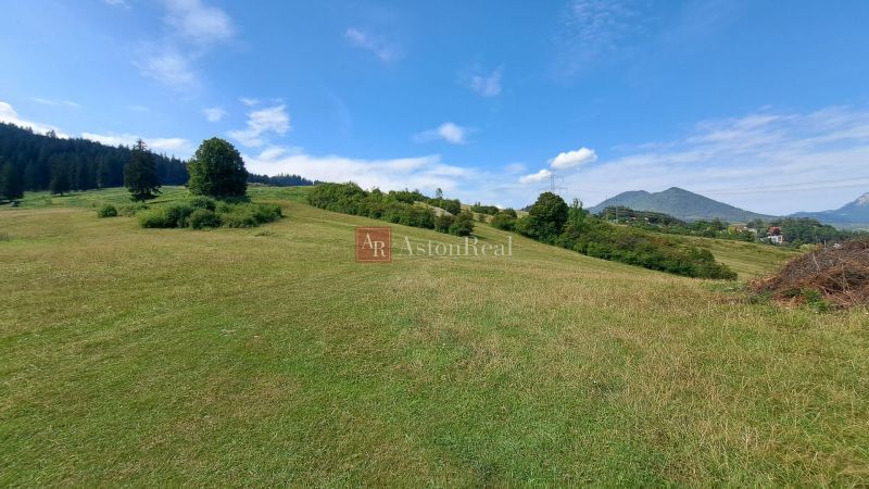 Grassy meadows and hills near the cottage on Do Žlebín Street in Ružomberok.