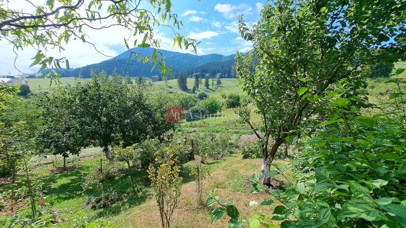 The garden of the Cottage at Do Žlebín in Ružomberok with a view of the hills and trees.