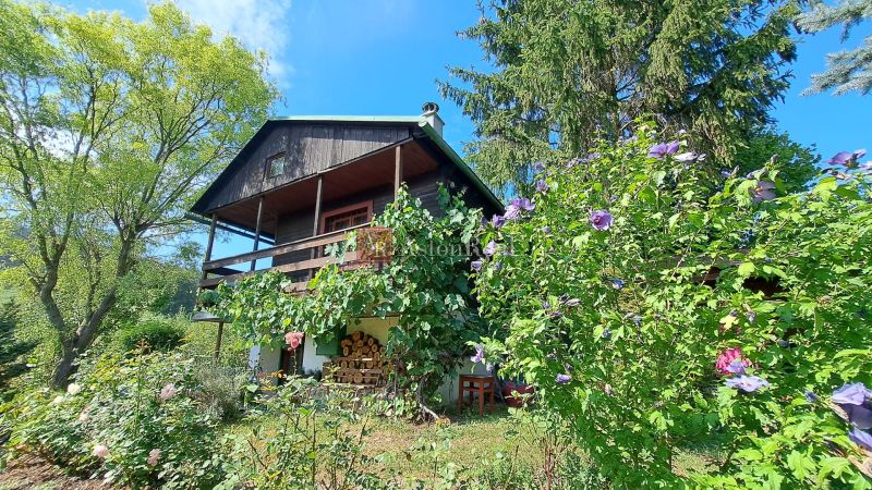 A house on Do Žlebín Street in Ružomberok surrounded by blooming bushes and trees.