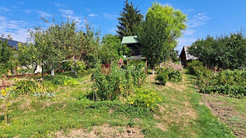 A garden with a cottage on Do Žlebín Street in Ružomberok, surrounded by trees and plants.