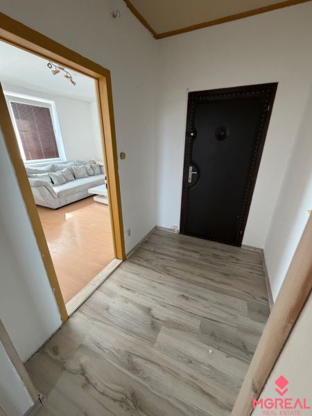 The entrance hall in a 2-room apartment with a wooden decor floor and a view of the living room.