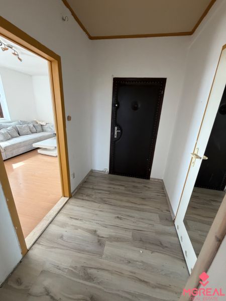 A hallway in a 2-room apartment with a wooden decor floor and a view into the living room.