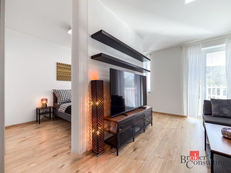 Living room with wood-patterned flooring and a TV in a studio apartment.