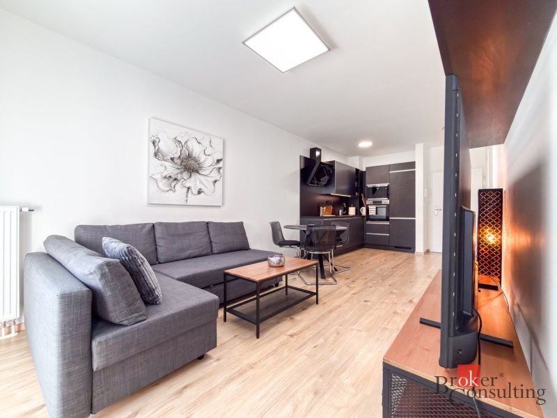 Living room of a studio apartment with a sofa, kitchen, and wood-patterned flooring.