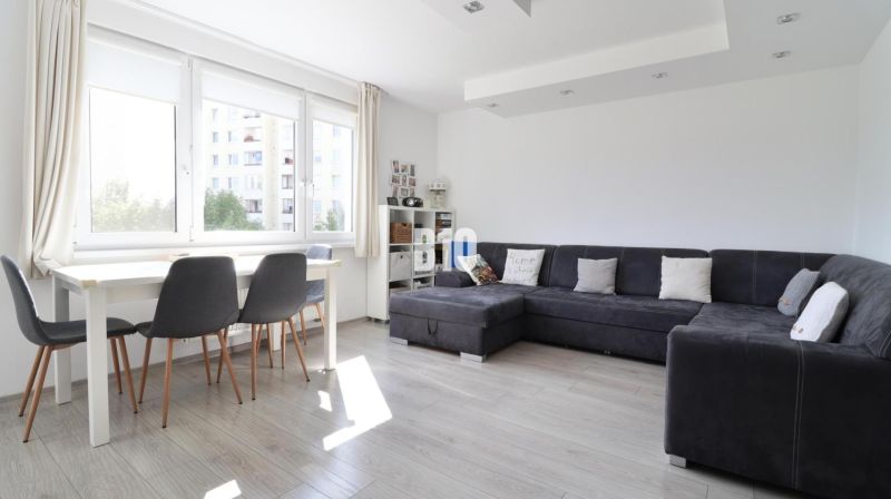 Living room, gray sofa, dining table, wooden decor flooring, 3-room apartment.