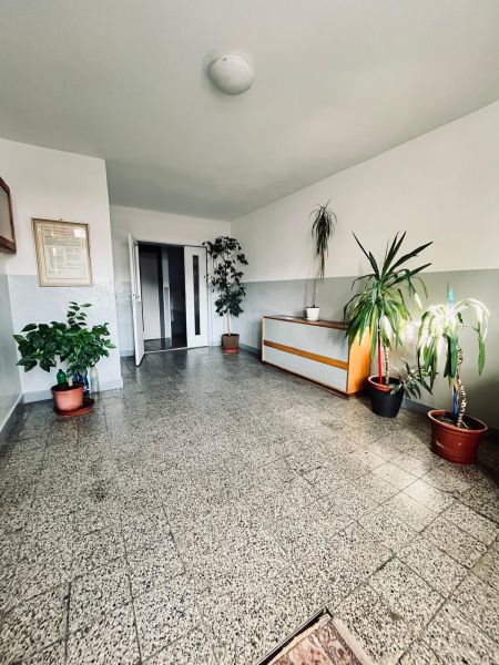Interior of a building with an entrance hall and flowers, 3-room apartment.