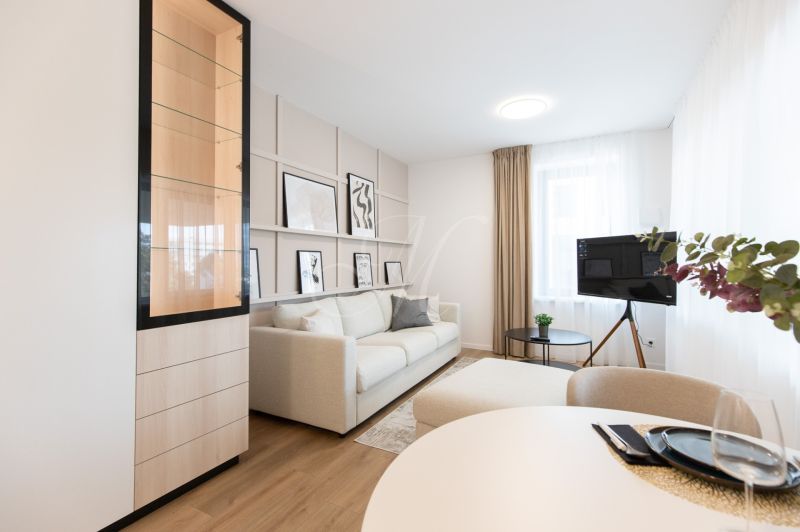 Living room with wood-patterned flooring, a sofa, artworks, and a television in a 2-room apartment.