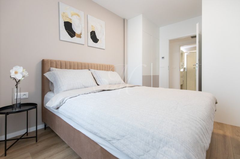 Bedroom in a 2-room apartment with a bed, a plant, and paintings on the wall.