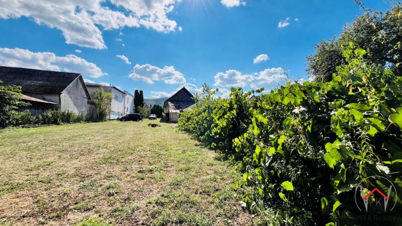 The garden of a family house in Ondavské Matiašovce with green shrubs and a blue sky.