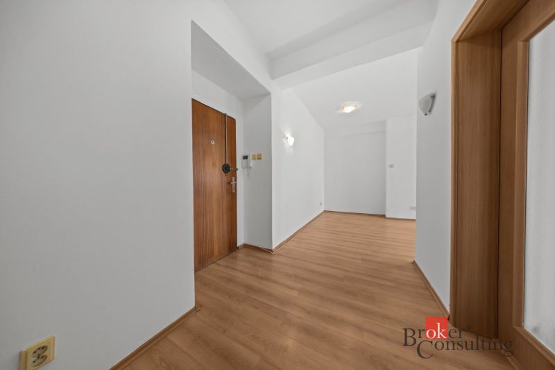 Entrance hallway with wood-patterned flooring in a 2-room apartment.
